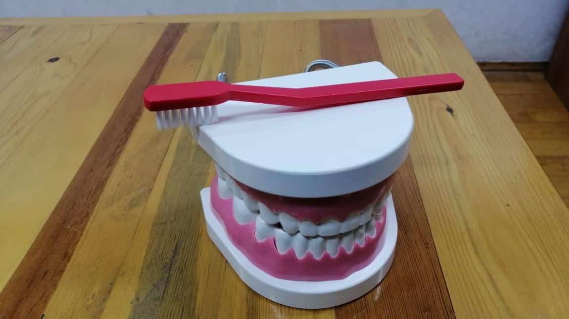 Diş Sağlığı Eğitimi 